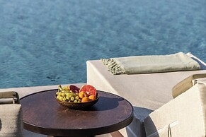 King Jason Zante – Designed for Adults