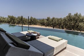 King Jason Zante – Designed for Adults