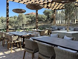 King Jason Zante – Designed for Adults
