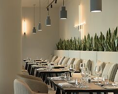 King Jason Zante – Designed for Adults
