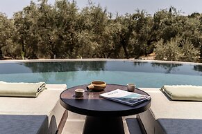 King Jason Zante – Designed for Adults