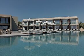 King Jason Zante – Designed for Adults