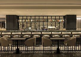 King Jason Zante – Designed for Adults