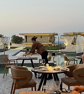 King Jason Zante – Designed for Adults