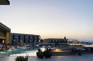 King Jason Zante – Designed for Adults