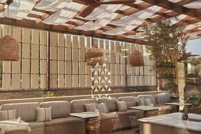 King Jason Zante – Designed for Adults