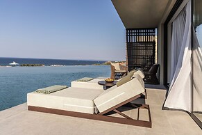 King Jason Zante – Designed for Adults