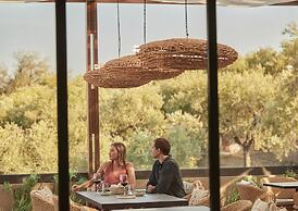 King Jason Zante – Designed for Adults