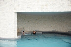 King Jason Zante – Designed for Adults