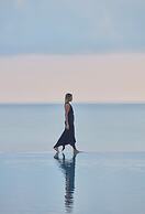 King Jason Zante – Designed for Adults