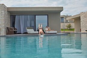 King Jason Zante – Designed for Adults