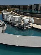 King Jason Zante – Designed for Adults