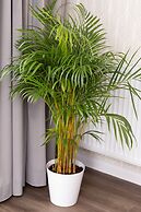 Deluxe Apartment by Renters Prestige