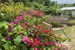 Yanceylargo Estate - Newly Renovated 3 Br Villa W Gorgeous Mountain Vi