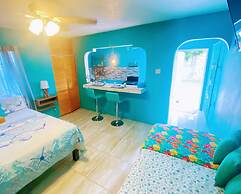 Yanceylargo Estate - Newly Renovated 3 Br Villa W Gorgeous Mountain Vi