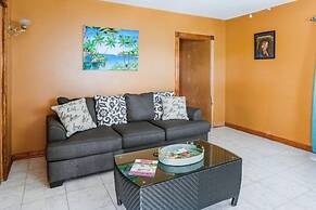 Yanceylargo Estate - Newly Renovated 3 Br Villa W Gorgeous Mountain Vi