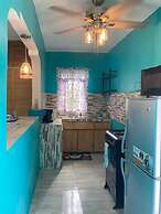 Yanceylargo Estate - Newly Renovated 3 Br Villa W Gorgeous Mountain Vi