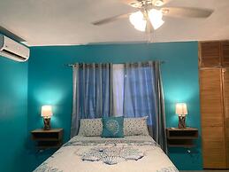 Yanceylargo Estate - Newly Renovated 3 Br Villa W Gorgeous Mountain Vi