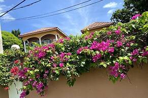 Yanceylargo Estate - Newly Renovated 3 Br Villa W Gorgeous Mountain Vi