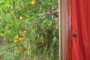 Orange Dreams in Sant Agnello