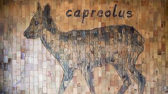 Italianway - Teregua 2