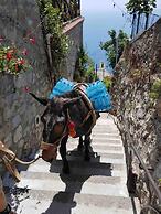 Goat Path in Positano