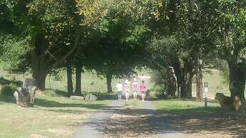 Oban Historical Guest Farm