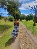 Oban Historical Guest Farm