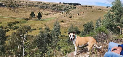 Oban Historical Guest Farm