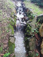 Oban Historical Guest Farm