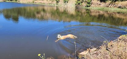 Oban Historical Guest Farm