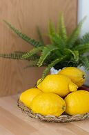 Centre Apartment Sniadeckich by Renters