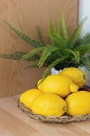 Centre Apartment Sniadeckich by Renters