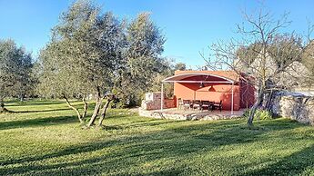 Cis002 in Cisternino