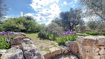 Cis002 in Cisternino