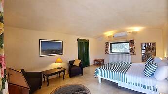 Cis002 in Cisternino