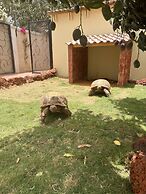 Chez Lilie Maison d'hôtes à Saly