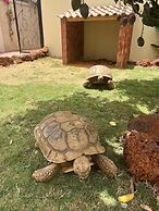 Chez Lilie Maison d'hôtes à Saly