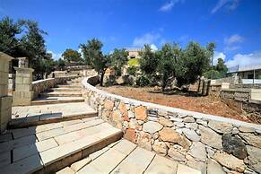 Mor010 in Torre Vado