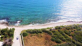 Mor010 in Torre Vado