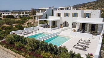 Ultimate Luxury Paradise Villa In Paros
