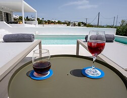 Ultimate Luxury Paradise Villa In Paros