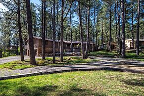 Rustic Pines Retreat