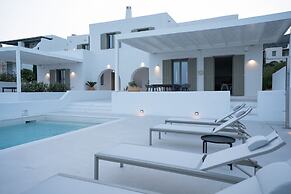 Luxury Paradise Villa Iliad In Paros
