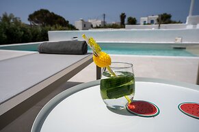 Luxury Paradise Villa Iliad In Paros