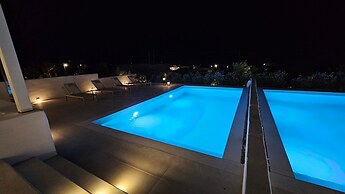 Luxury Paradise Villa Iliad In Paros