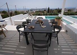 Luxury Paradise Villa Iliad In Paros