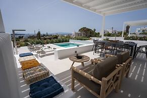 Luxury Paradise Villa Iliad In Paros