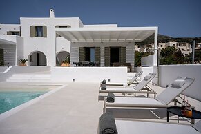 Luxury Paradise Villa Iliad In Paros