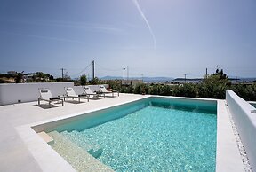 Luxury Paradise Villa Iliad In Paros